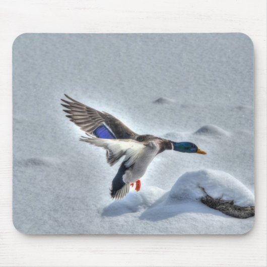マラードアヒル野生生物写真鳥好き マウスパッド (正面)