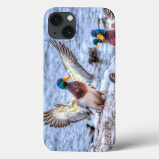 マラードアヒル野生生物写真鳥好き Case-Mate iPhoneケース (裏面)