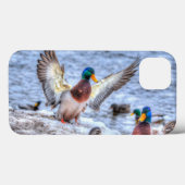 マラードアヒル野生生物写真鳥好き Case-Mate iPhoneケース (裏面 (横))