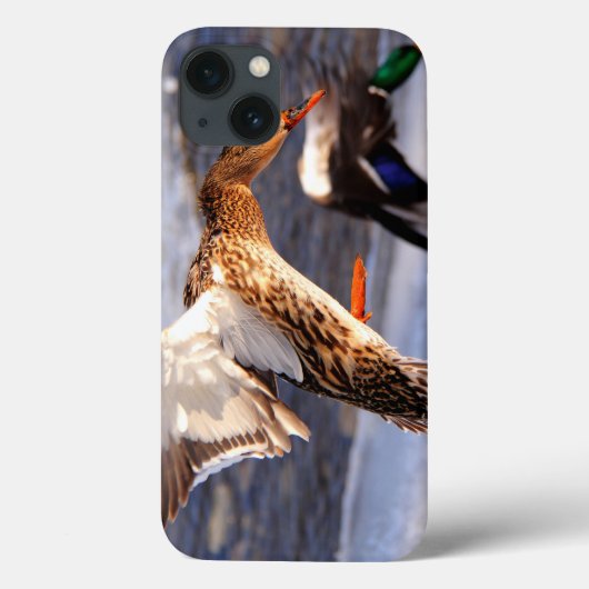 マラードアヒル野生生物写真鳥好き Case-Mate iPhoneケース (裏面)
