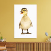 マラードアヒル(Anas platyrhynchos) キャンバスプリント (インサイチュ (リビング))