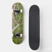 マラードオンポンド スケートボード (正面)