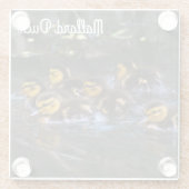 マラードダクリングス ガラスコースター (裏面)