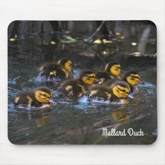 マラードダクリングス マウスパッド (正面)