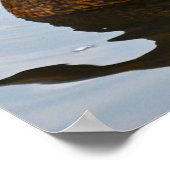 マラードダックのポスター ポスター (角)