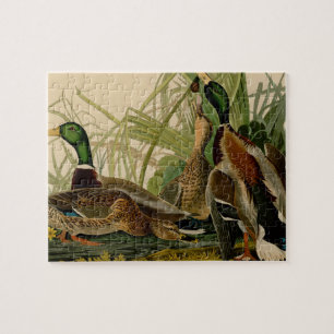 マラードダックアウドゥボンバードズ絵画ズ ジグソーパズル