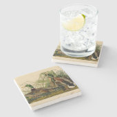 マラードダックアウドゥボンバードズ絵画ズ ストーンコースター (横)