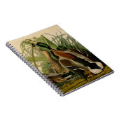 マラードダックアウドゥボンバードズ絵画ズ ノートブック (右側)