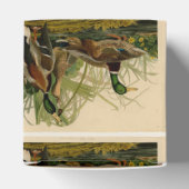 マラードダックアウドゥボンバードズ絵画ズ フェイバーボックス (上部)