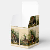 マラードダックアウドゥボンバードズ絵画ズ フェイバーボックス (オープン)