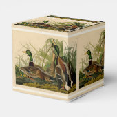 マラードダックアウドゥボンバードズ絵画ズ フェイバーボックス (裏面サイド)