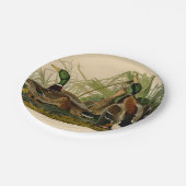 マラードダックアウドゥボンバードズ絵画ズ ペーパープレート (アングル)