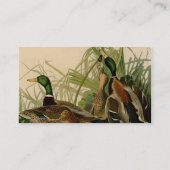 マラードダックアウドゥボンバードズ絵画ズ 名刺 (裏面)
