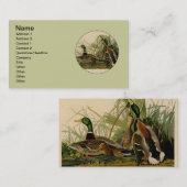マラードダックアウドゥボンバードズ絵画ズ 名刺 (正面/裏面)