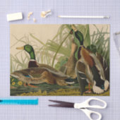 マラードダックアウドゥボンバードズ絵画ズ 薄葉紙 (クラフト)