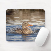 マラードダックアットダウニング公園 マウスパッド (マウス)