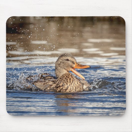 マラードダックアットダウニング公園 マウスパッド (正面)