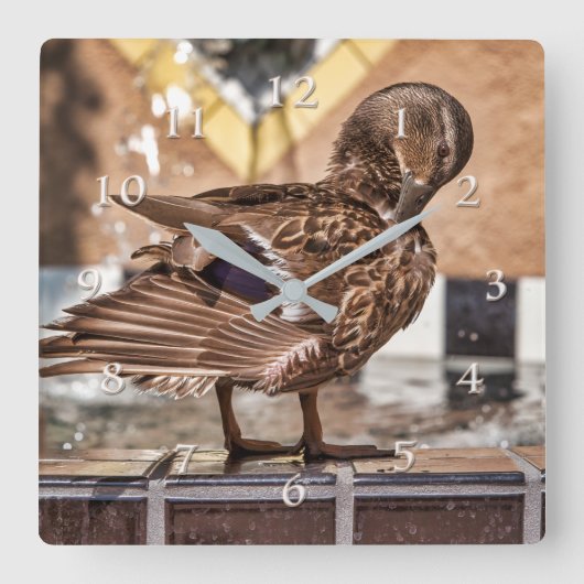 マラードダックゲタウェイリゾートスパ スクエア壁時計 (正面)