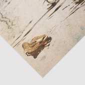 マラードダックスティッシュペーパー 薄葉紙 (詳細)