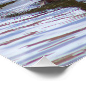 マラードダックス写真ポスター ポスター (コーナー)