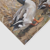 マラードダックス水彩デクページ 薄葉紙 (詳細)