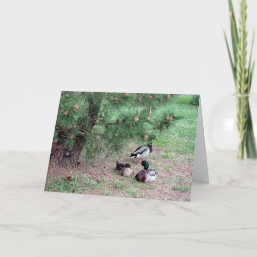 マラードダックス&パインズ誕生日カードwバイブルVerse2 カード (正面)