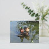 マラードダックス#2はがき ポストカード (スタンド正面)