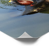 マラードダックス#2ポスター ポスター (角)