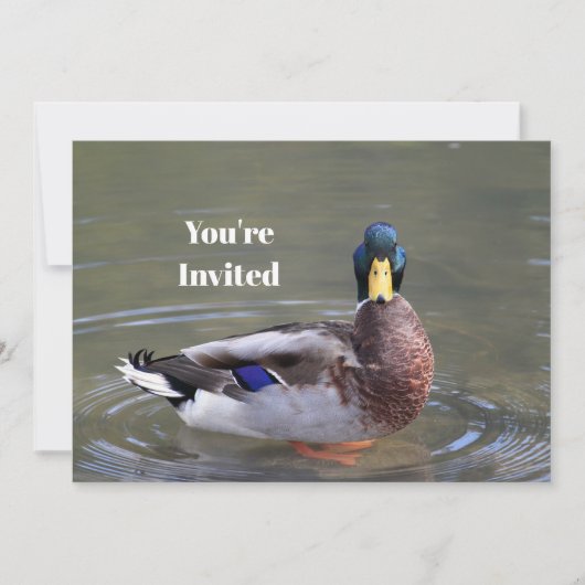 マラードダックドレイクウォーターフォト誕生日 招待状 (正面)