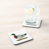 マラードダックドレイク コースター (右側)