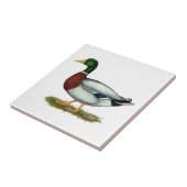 マラードダックドレイク タイル (側面)