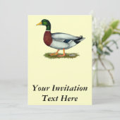 マラードダックドレイク 招待状 (スタンド正面)