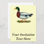マラードダックドレイク 招待状 (正面/裏面)