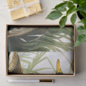 マラードダックバイジョンジェームズオードゥボン 薄葉紙 (ギフト)