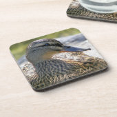 マラードダックヘン自然写真 コースター (左側)