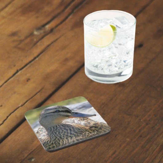 マラードダックヘン自然写真 コースター