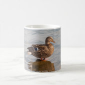 マラードダックマグ コーヒーマグカップ (中央)