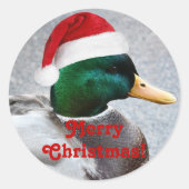 マラードダックレッドサンタハットホリデー ラウンドシール (正面)