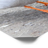 マラードダック写真 ポスター (角)