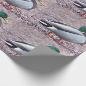 マラードダック写真 ラッピングペーパー (角)