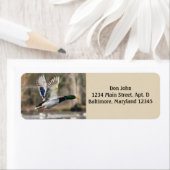 マラードダック差出人住所ラベル ラベル (インサイチュ)