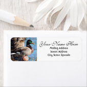 マラードダック差出人住所 ラベル (インサイチュ)