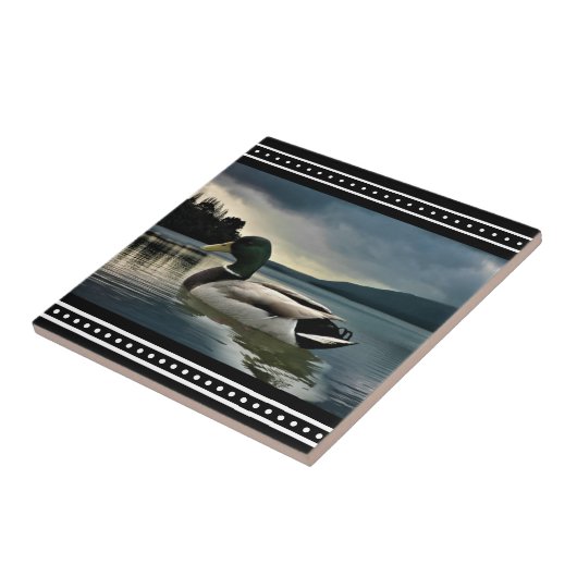 マラードダック湖 タイル (側面)