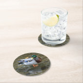 マラードダック（オス）紙コースター ラウンドペーパーコースター (インサイチュ)