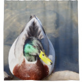 マラードダック シャワーカーテン (正面)