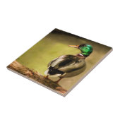 マラードダック タイル (側面)