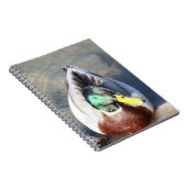 マラードダック ノートブック (右側)