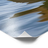 マラードダック フォトプリント            (角)