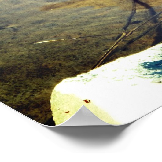 マラードダック ポスター (角)