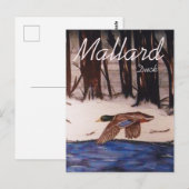 マラードダック ポストカード (正面/裏面)